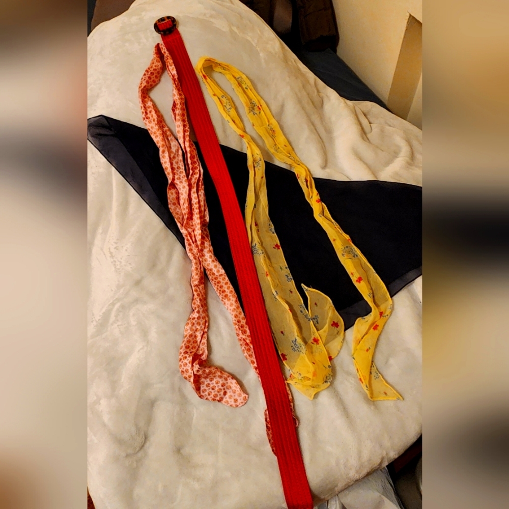Various scarves and belt